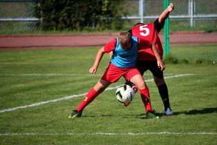 米兰体育·「中国」官方网站-中国篮球职业联赛俱乐部运营模式创新及管理经验分享，篮球俱乐部运营与管理