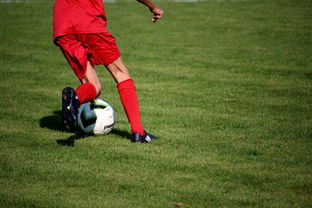 MILAN SPORTS-意甲裁判语义辅助判罚系统提升比赛公平性研究，意甲裁判组