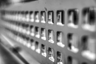 MILAN体育APP下载入口官网-青少年体质监测结果区域对比研究，青少年健康体质检测中心