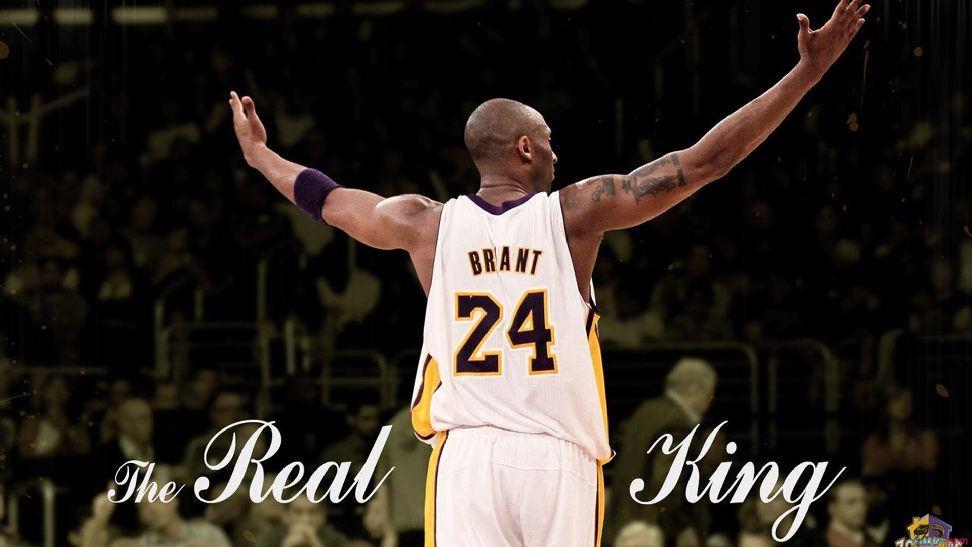 NBA常规赛继续进行 多支球队争夺季后赛席位